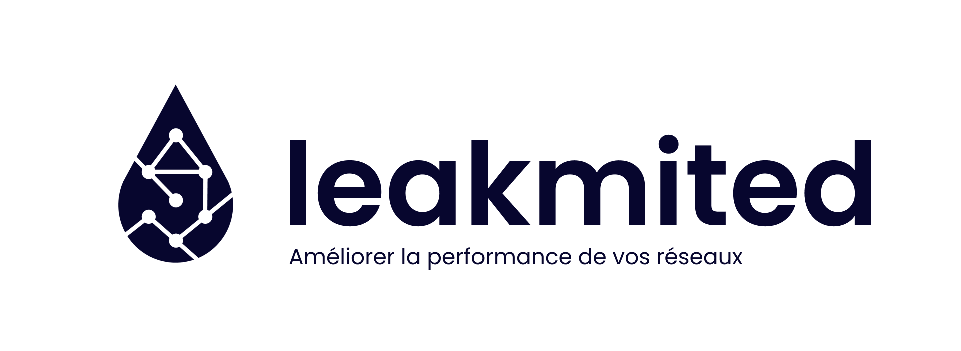 logo LEAKMITED