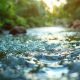 ENSEMBLE POUR L'EAU : SOLIDARITE ENTRE TERRITOIRES