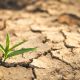 SOBRIETE HYDRIQUE : ACTEURS ET INITIATIVES EN ACTION