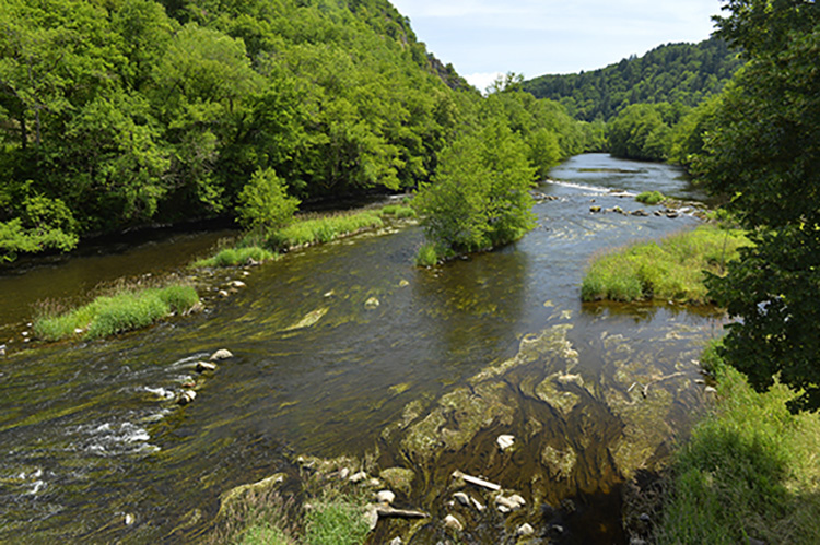 L'AGENCE DE L'EAU LOIRE-BRETAGNE,  PARTENAIRE de CYCL'EAU VICHY ET COORGANISATRICE DES CONFÉRENCES