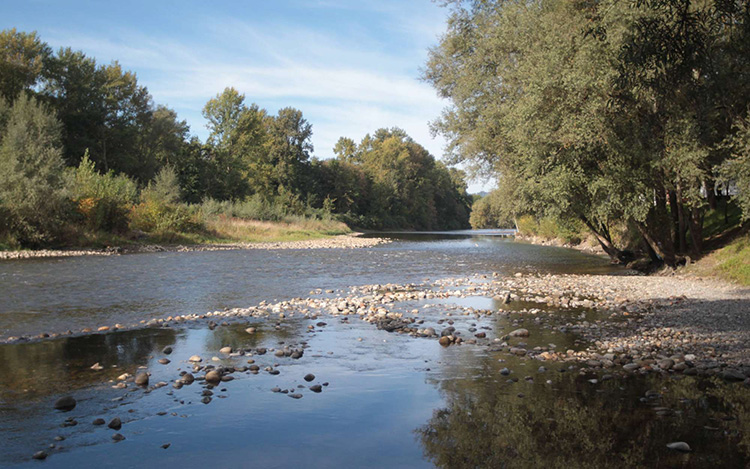 ÉCONOMISER L’EAU POUR FAIRE FACE AU CHANGEMENT CLIMATIQUE : LA SOLUTION QUI COULE DE SOURCE