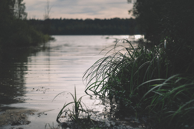 URGENCE CLIMATIQUE : ACTIONS D’ADAPTATION ET DEMARCHES EXEMPLAIRES D’UN TERRITOIRE PARTICULIEREMENT VULNERABLE