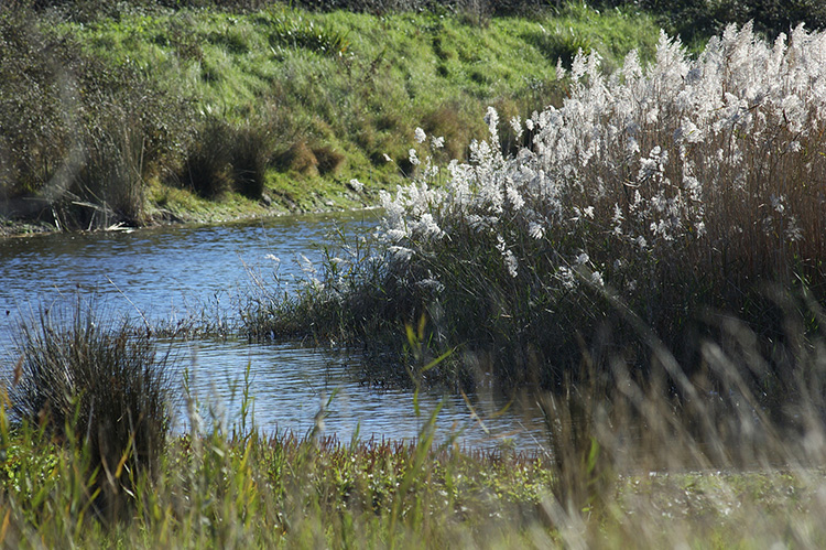 EAU ET ADAPTATION AU CHANGEMENT CLIMATIQUE : DES SOLUTIONS « NATURE » !