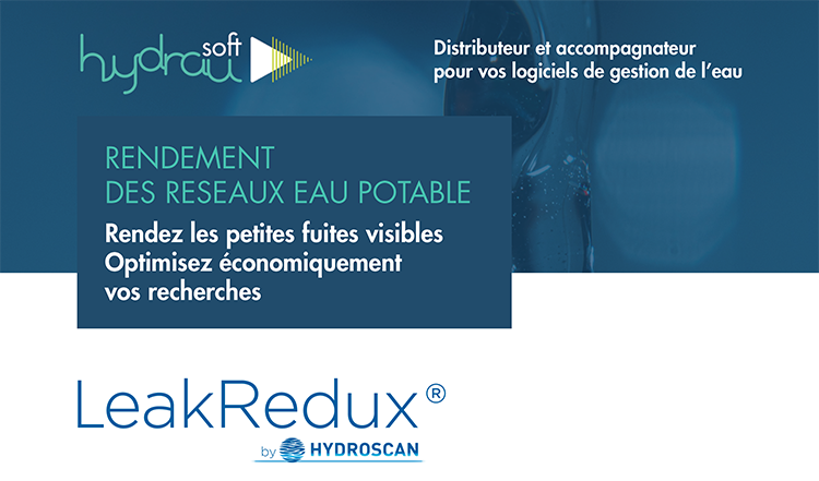 CAPSULE SOLUTION : HYDRAUSOFT - COMMENT BRUXELLES A AMELIORE SA RECHERCHE DE FUITES EAU POTABLE AVEC LEAKREDUX®