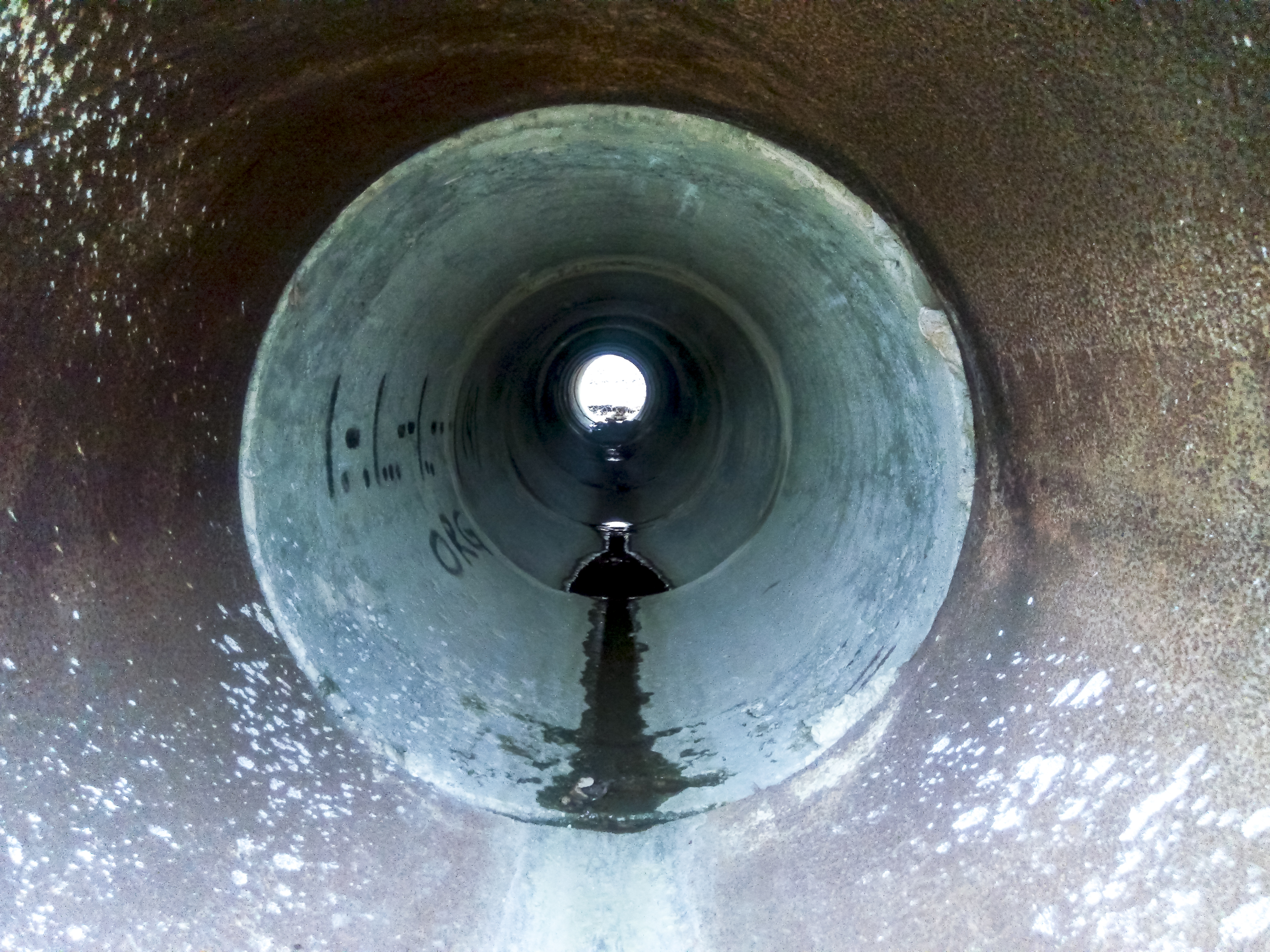 EAUX USEES ET EAUX PLUVIALES : STRATEGIES DE COLLECTE ET PRESERVATION DES MILIEUX