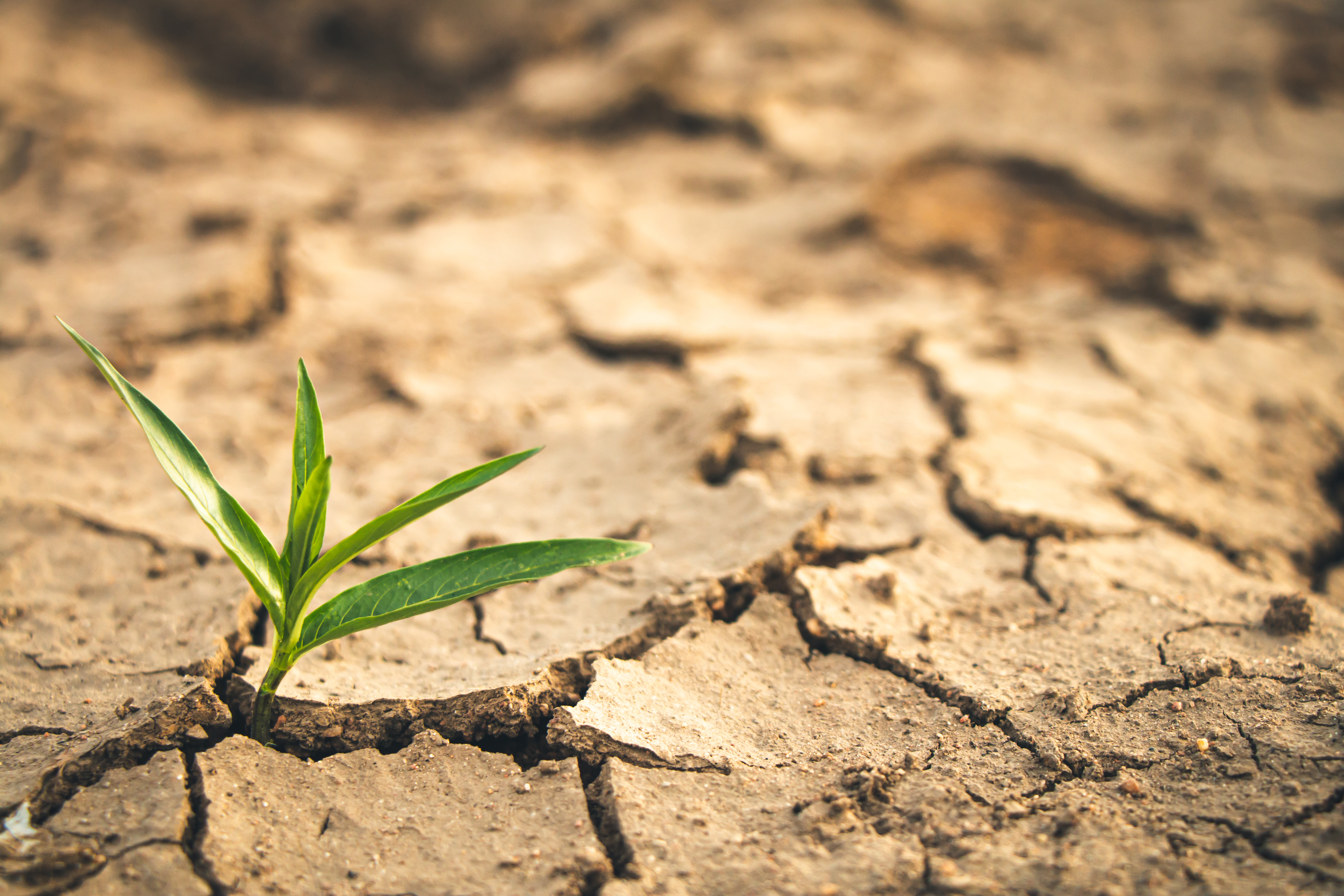 SOBRIETE HYDRIQUE : ACTEURS ET INITIATIVES EN ACTION