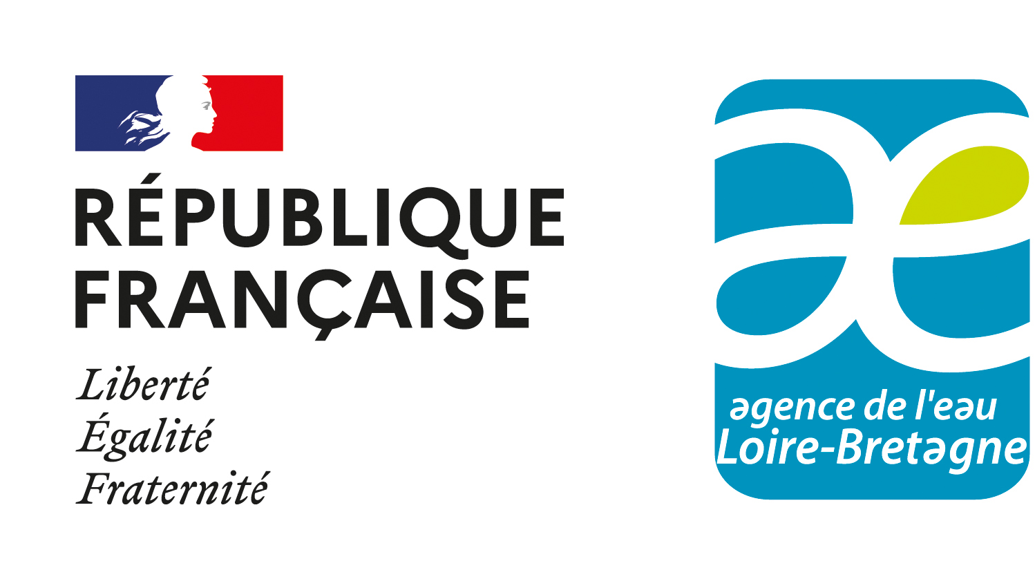 Agence de l'eau Loire Bretagne logo