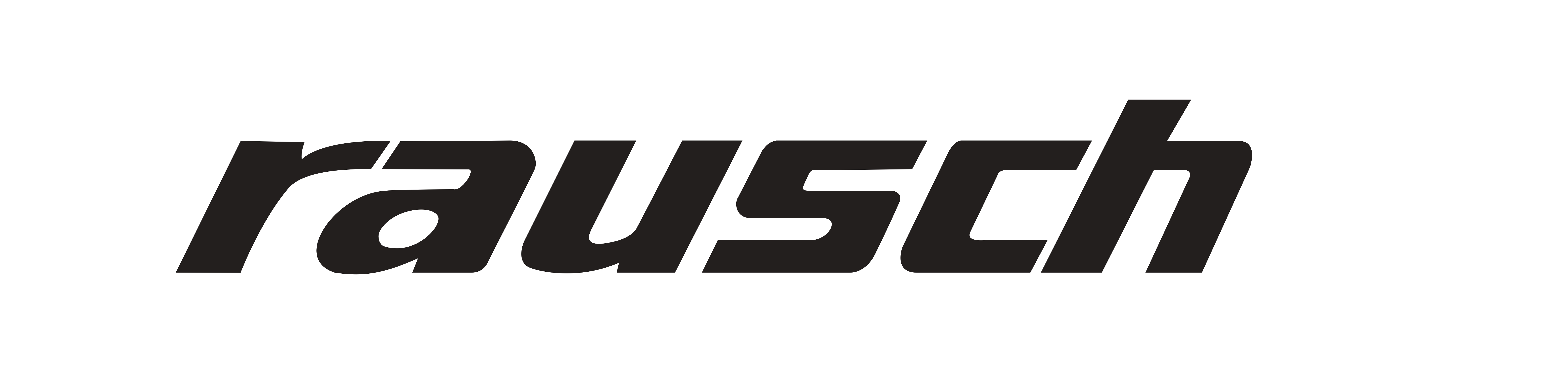 logo RAUSCH INTERNATIONAL GROUP