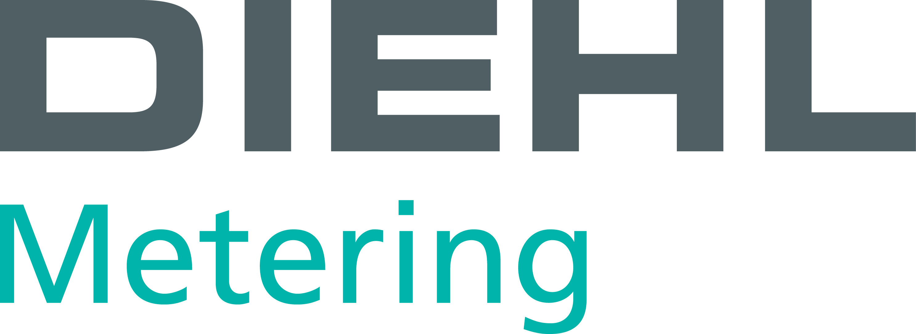logo Diehl Metering S.A.S.