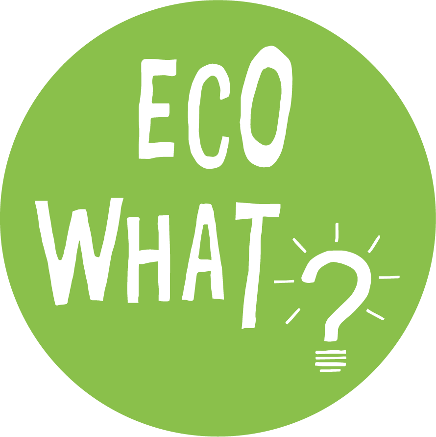 logo ESS ECOWHAT SAS - Société de conseil en économie d'énergie