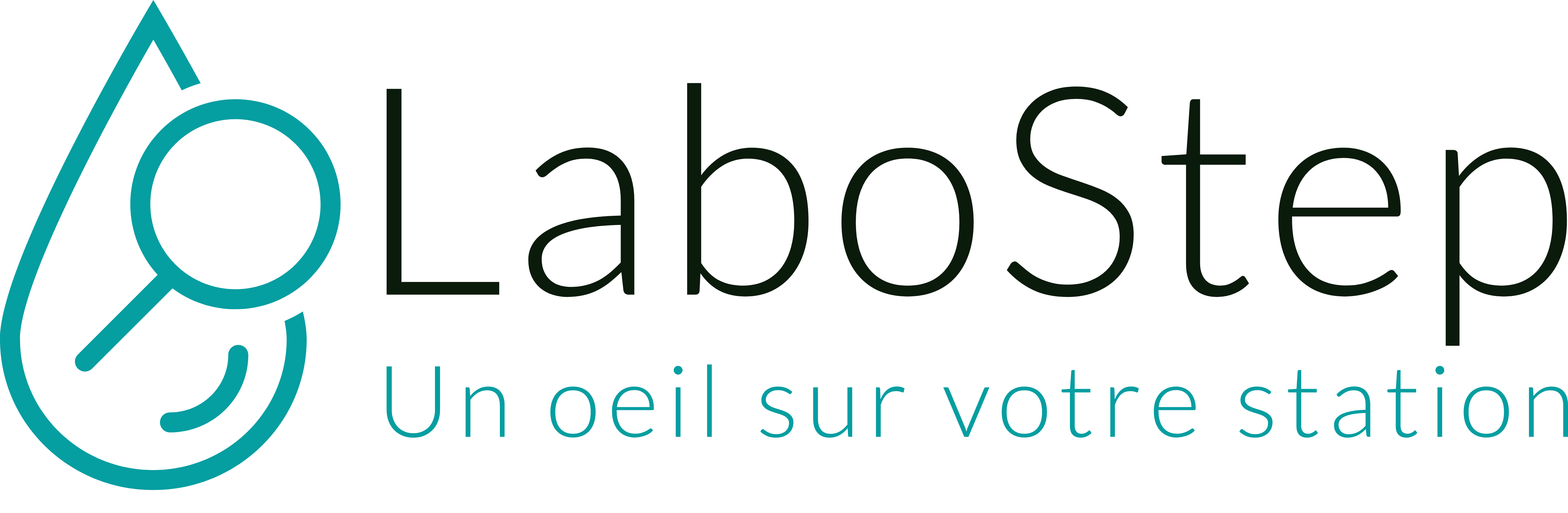 logo LaboStep