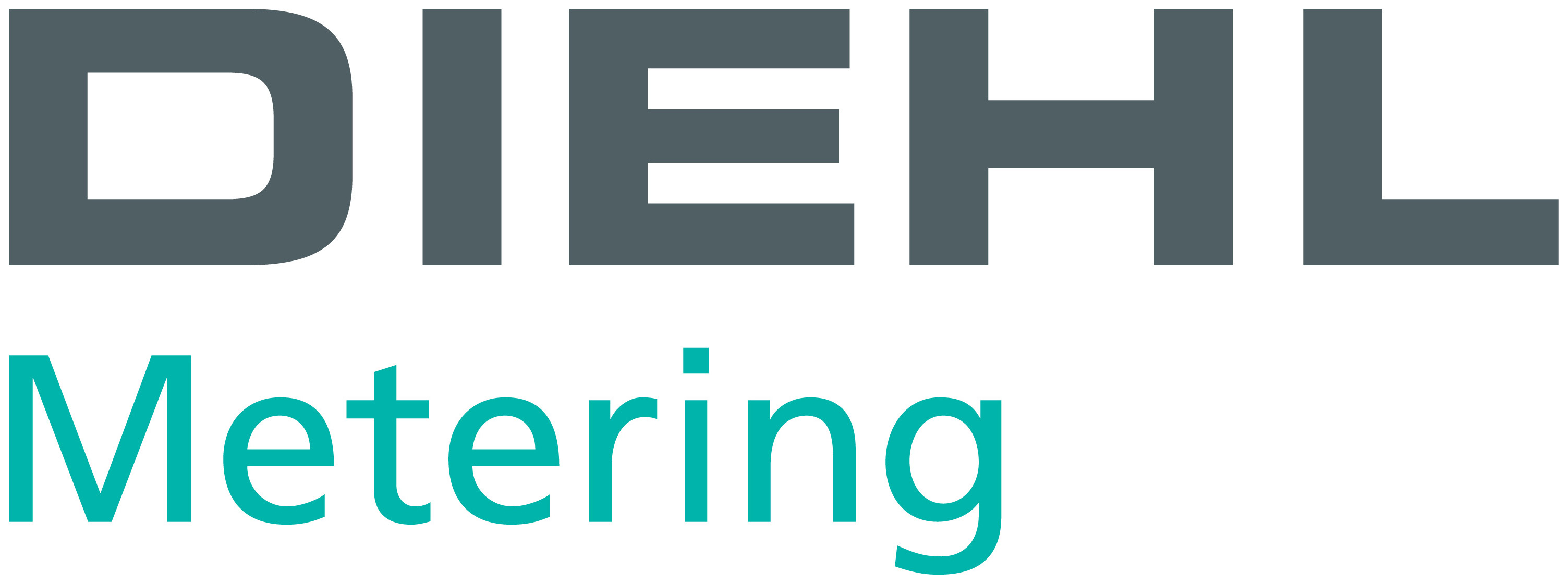 logo Diehl Metering