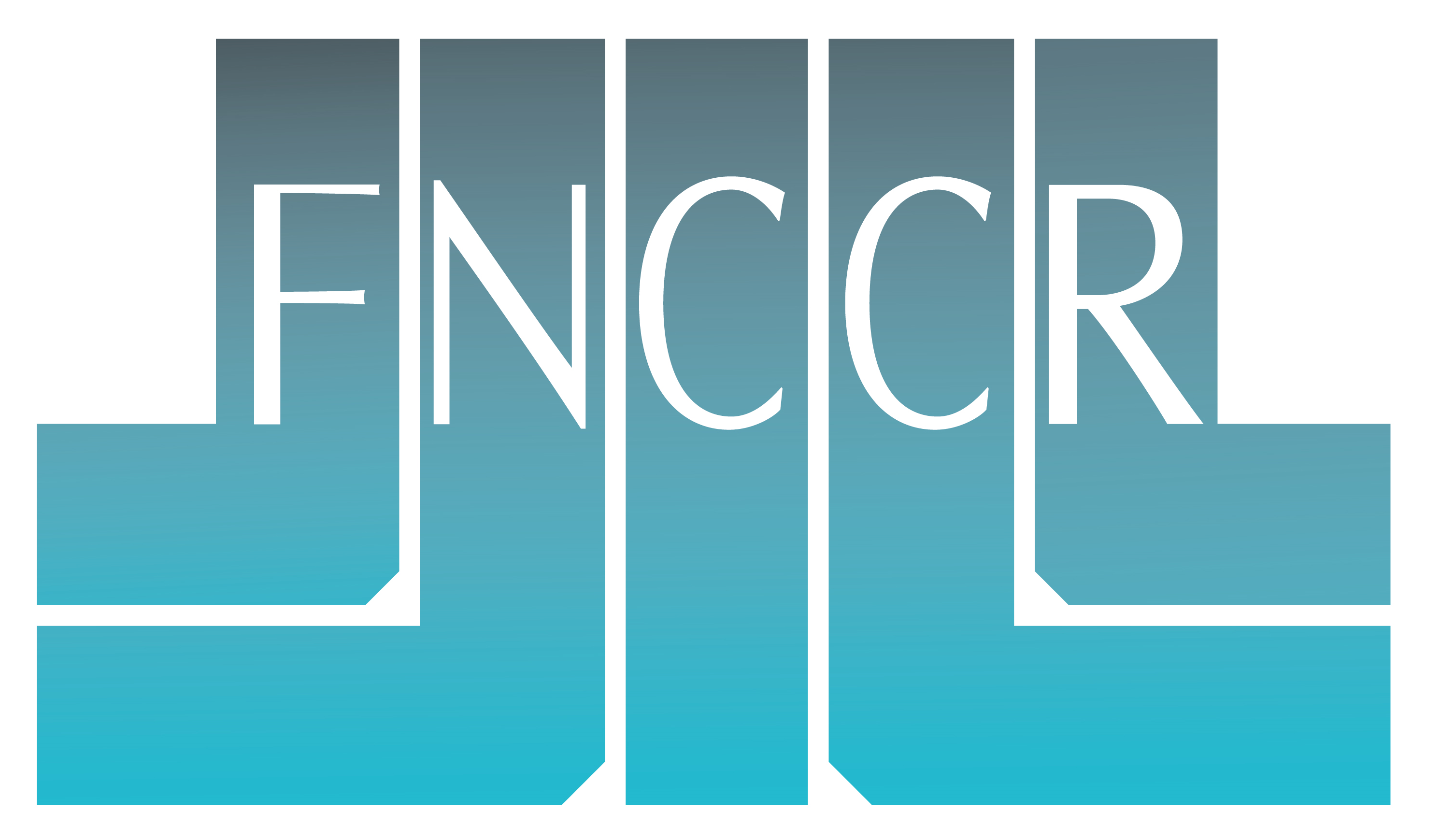 logo FNCCR - Fédération nationale des collectivités concédantes et régies