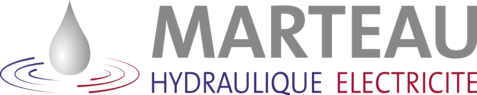 logo ROGER MARTEAU SAS