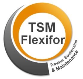 logo TSM-Flexifor