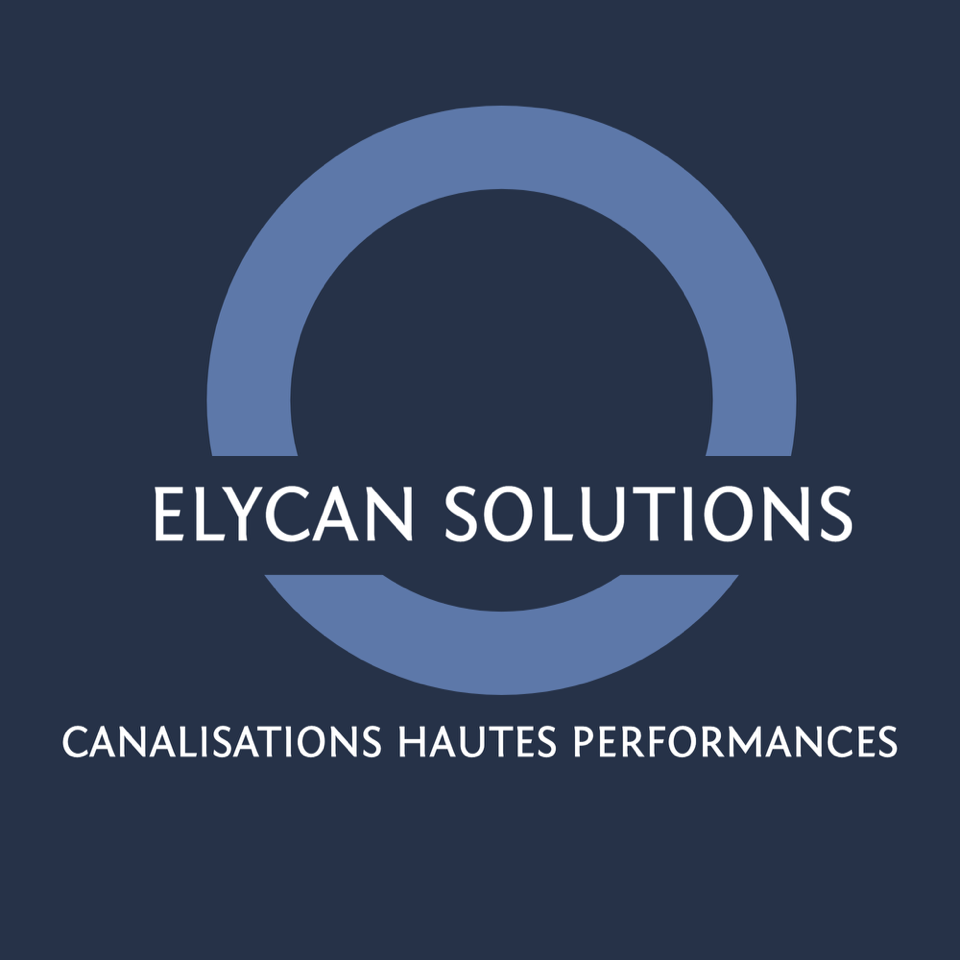 logo ELYCAN SOLUTIONS