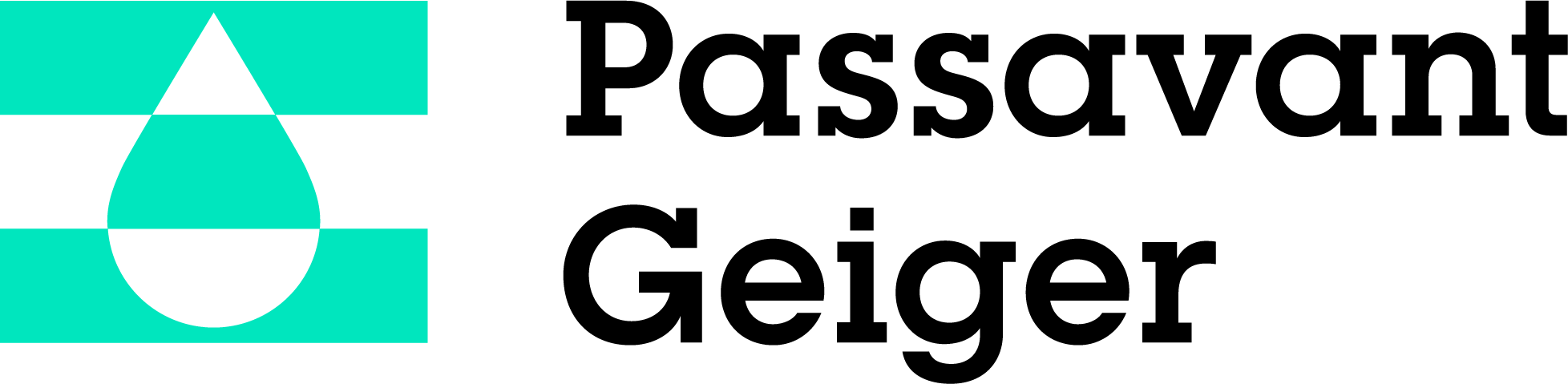 logo Passavant-Geiger