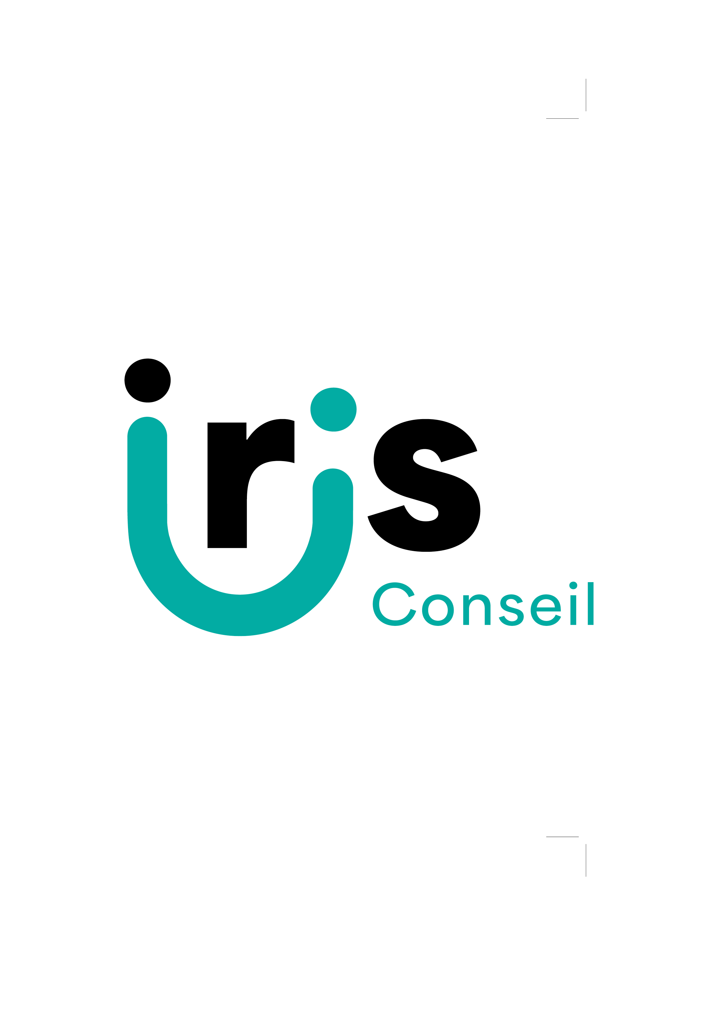 logo IRIS Conseil